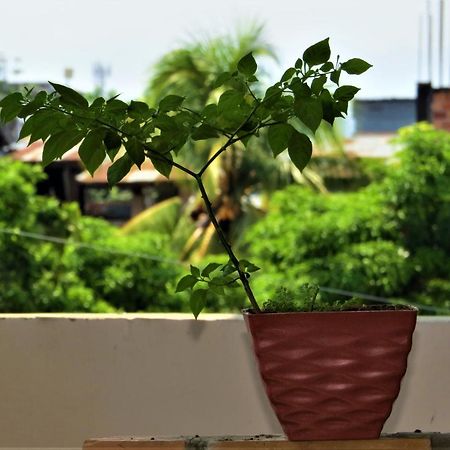 Flor Del Valle Posada Tarapoto Eksteriør billede